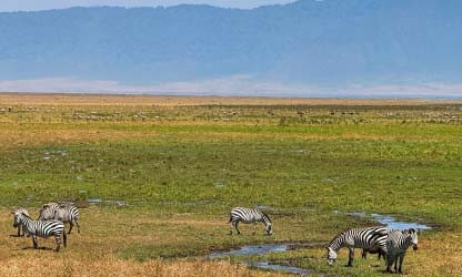 Explore the Wonders of Ngorongoro Crater